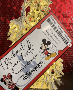Disney Reveals